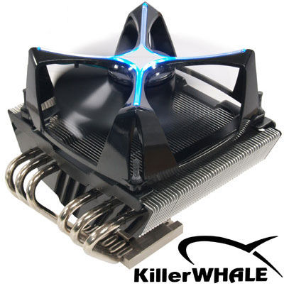 KILLER WHALE